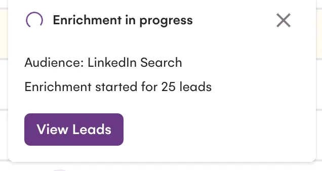 The Enrichment in progress notice for 25 leads, with a View Leads button